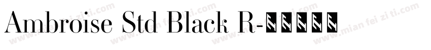 Ambroise Std Black R字体转换